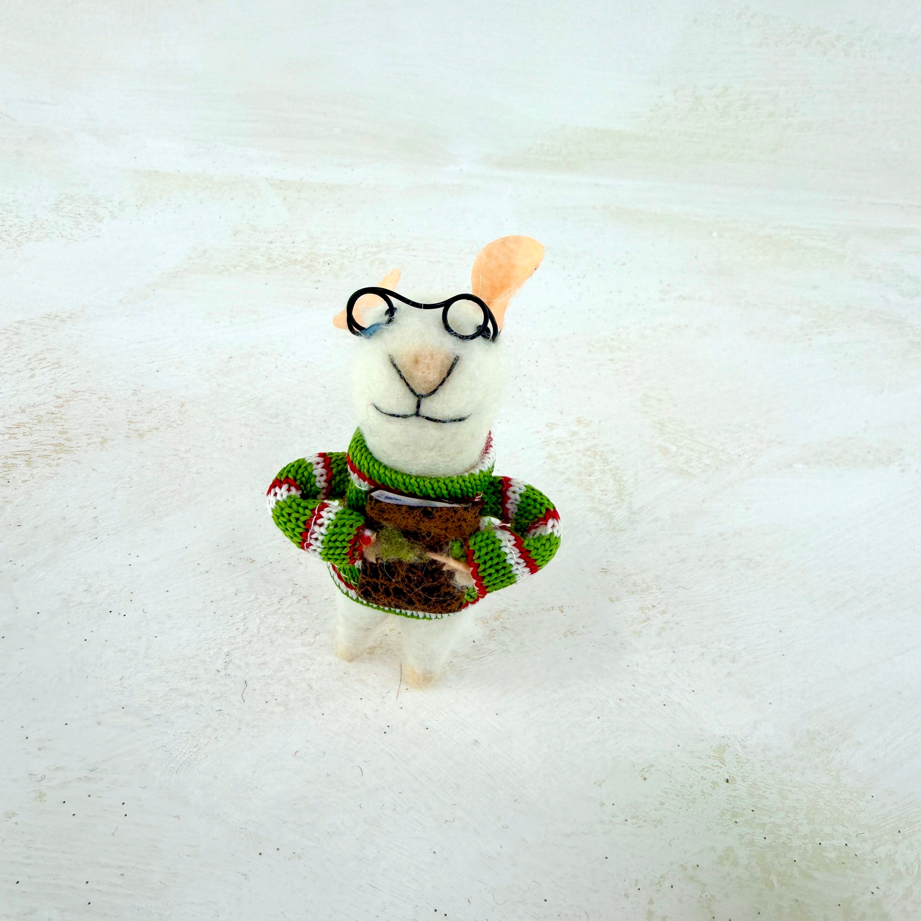 Wool mouse jumper & glasses