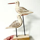 Coastal Bird Duo on Stand
