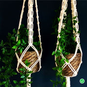 Workshop macrame plant hanger