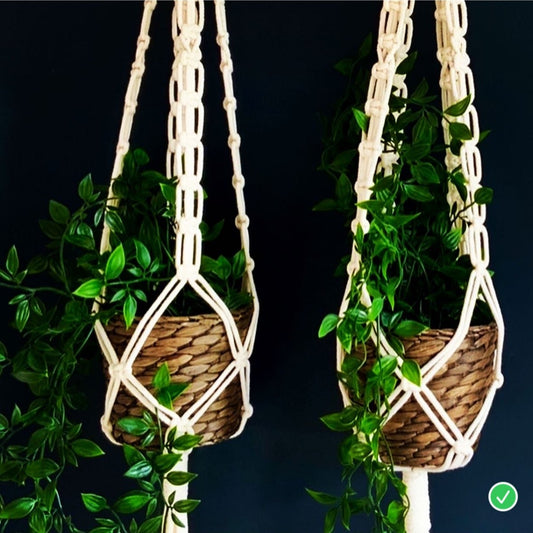 Workshop macrame plant hanger