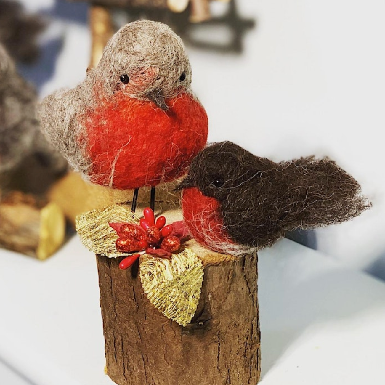 Workshop needlefelt a robin