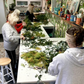 Workshop Christmas wreath making