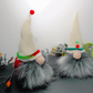 Workshop Christmas Tomtee, a nordic gnome