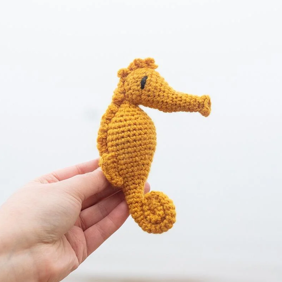 Blanche the Seahorse Crochet Kit