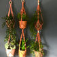 Macrame DIY Plant Hanger Kit