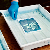 Cyanotype Complete Kit
