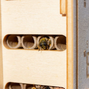 Beevive Bee Hotel Kit