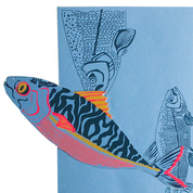 Card Mackerel