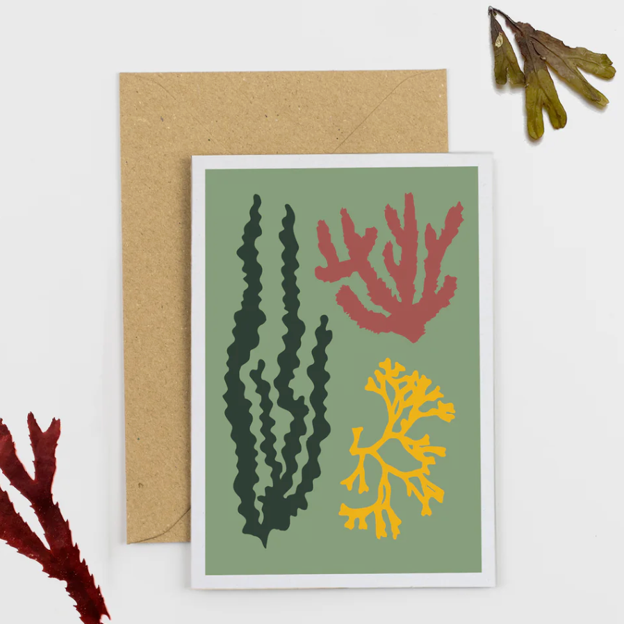 Art card - seaweed