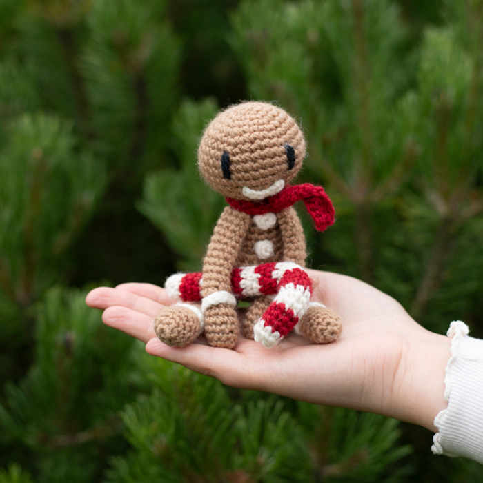 Gingerbread man crochet kit