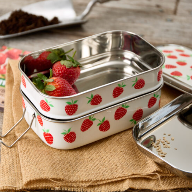 Tiffin-Style Lunchbox Summer Garden