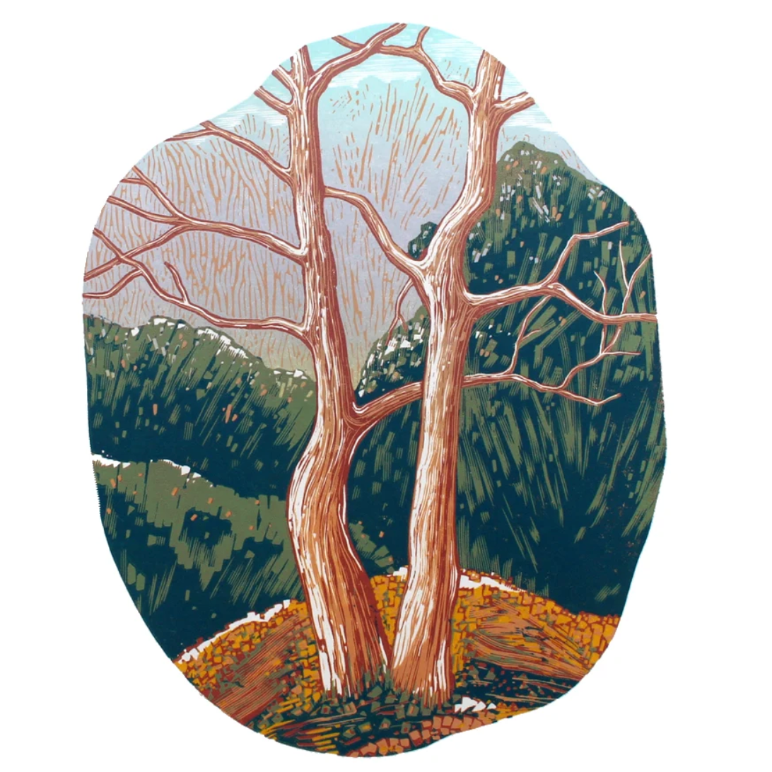 An illustrated art print or card featuring two tall bare trees in a forest landscape, shown on a product page with partial text and thumbnail previews visible around it.
