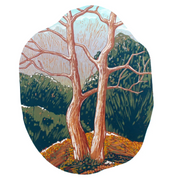 An illustrated art print or card featuring two tall bare trees in a forest landscape, shown on a product page with partial text and thumbnail previews visible around it.