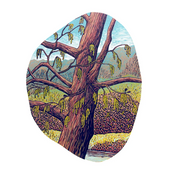 A product listing screenshot showing an illustrated tree artwork on a white page, with pricing text (£3.00), a quantity field, and partial product description on the right.