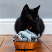 Black cat looking at crocheted toys in a copper bowl on a wooden floor.