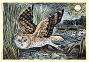 Marsh Owl Sustainable 1000 Piece Jigsaw Puzzle