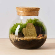 Longhair Cat, Plant Pot Decoration