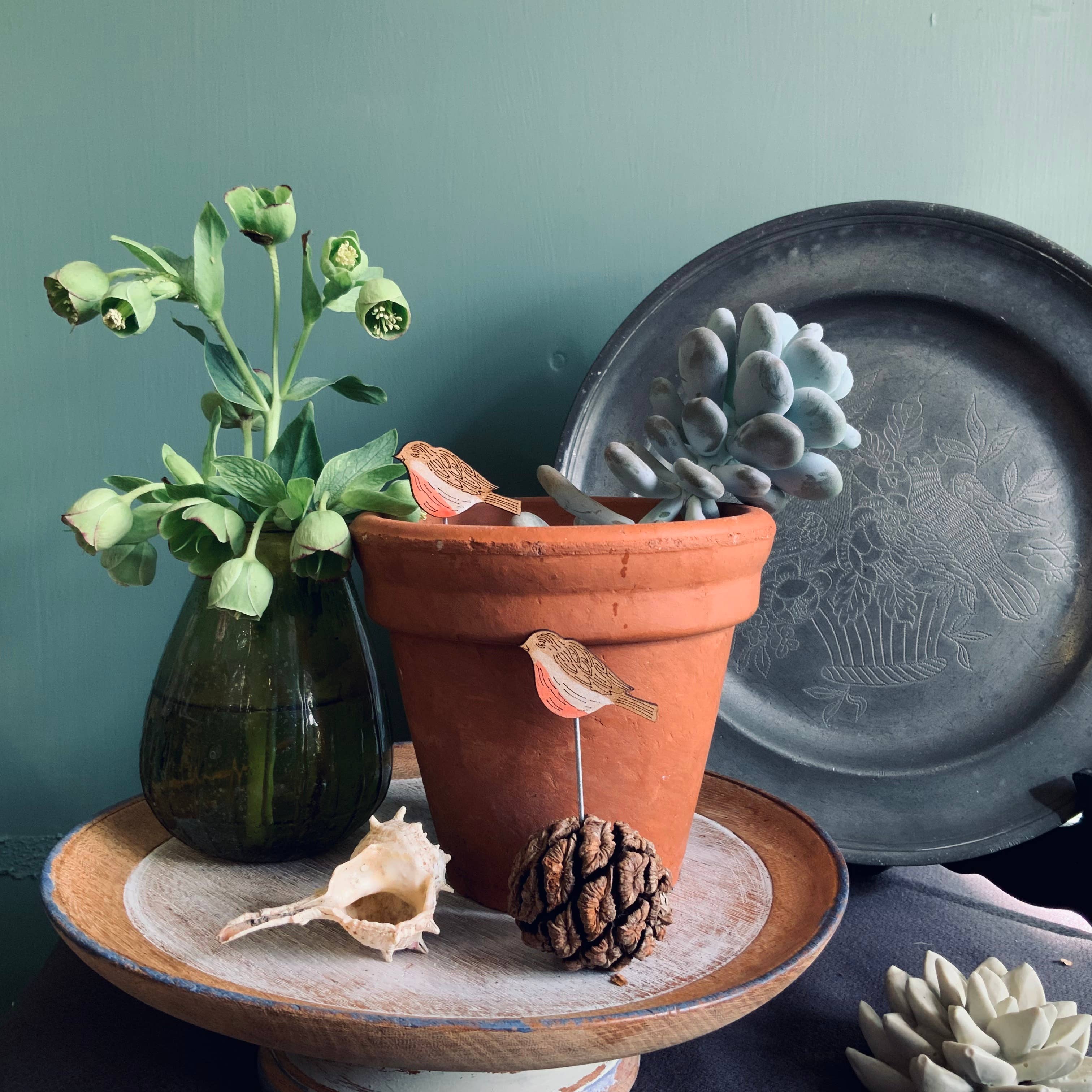 Plant Pot Companion, Robins