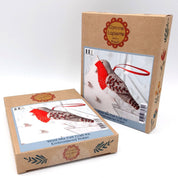 Two cardboard boxes for a hummingbird craft kit, one showing the front cover and the other showing the side panel with a photo of the finished bird, photographed on a white background.
