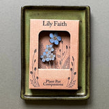 Forget Me Not Plant Pot Companions  