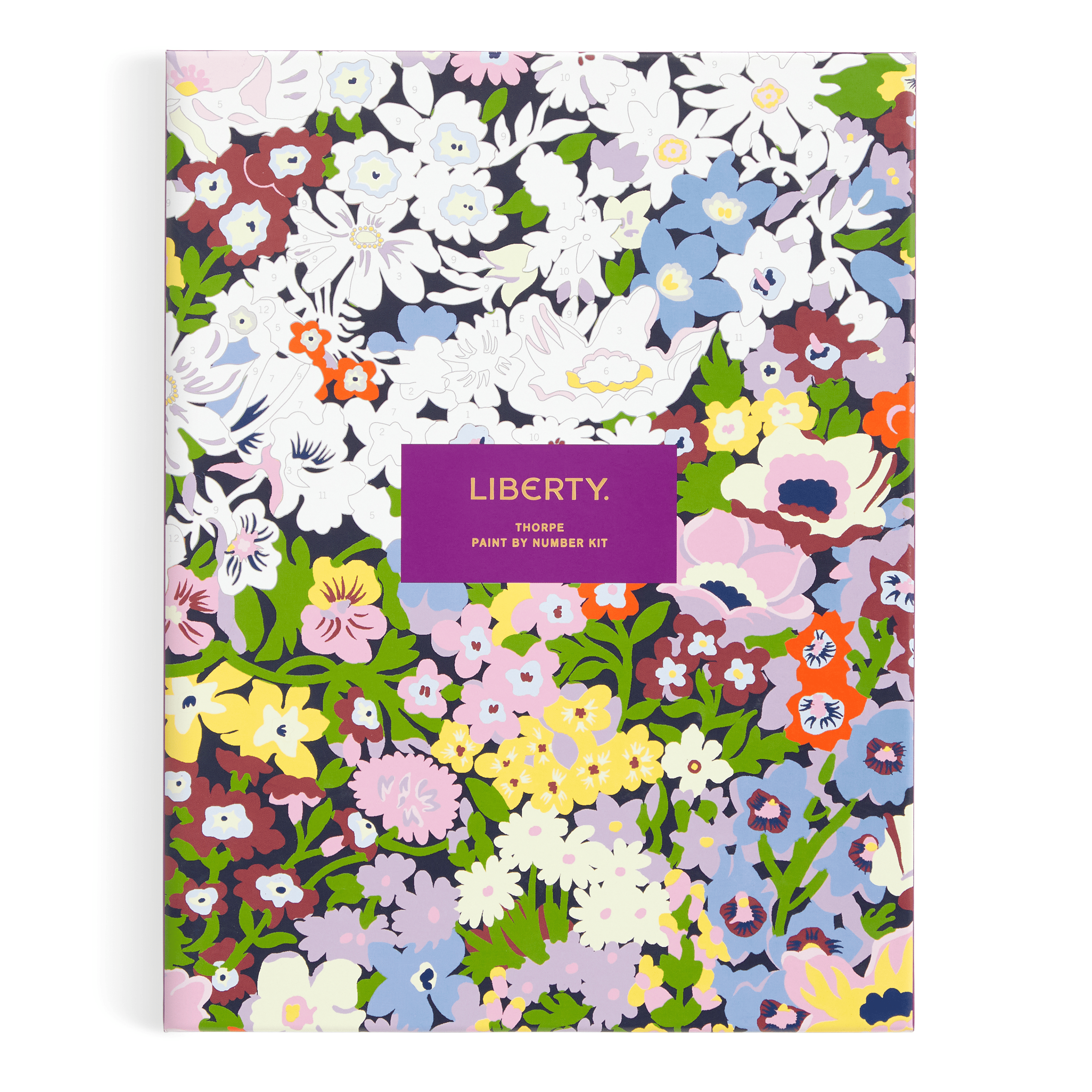 Abrams & Chronicle Liberty London paint by numbers kit floral