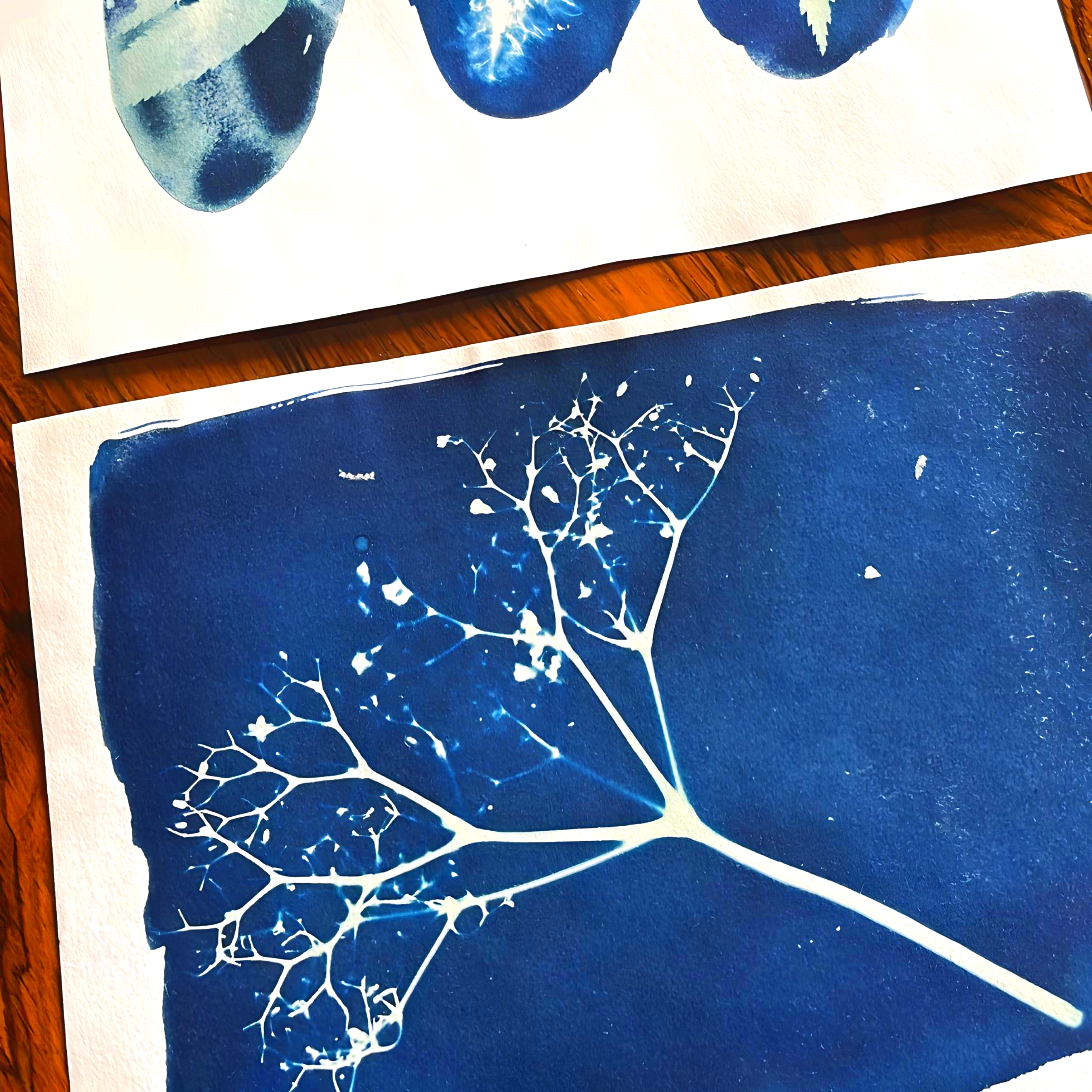 cyanotype3.jpg
