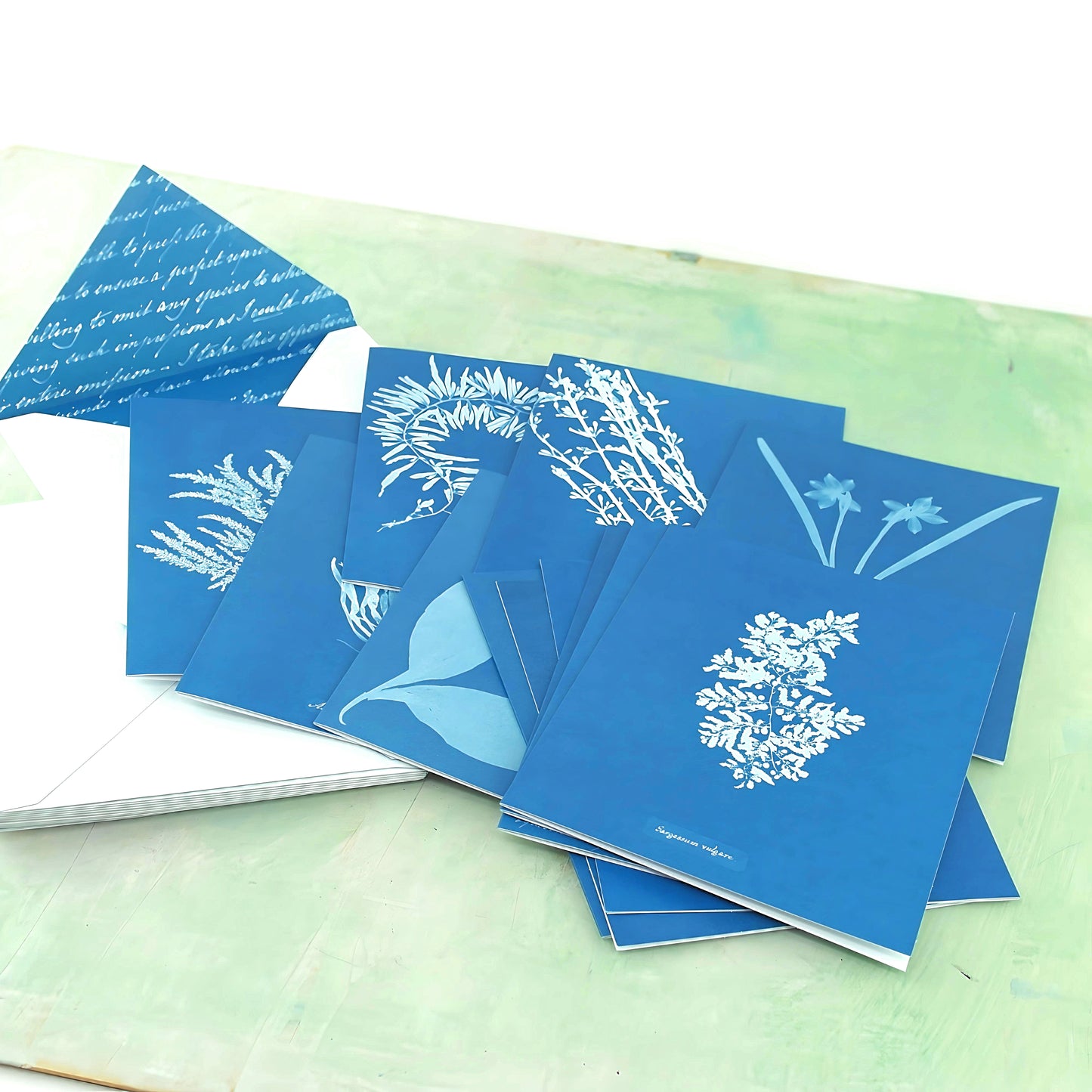 Sunprint cards and envelopes