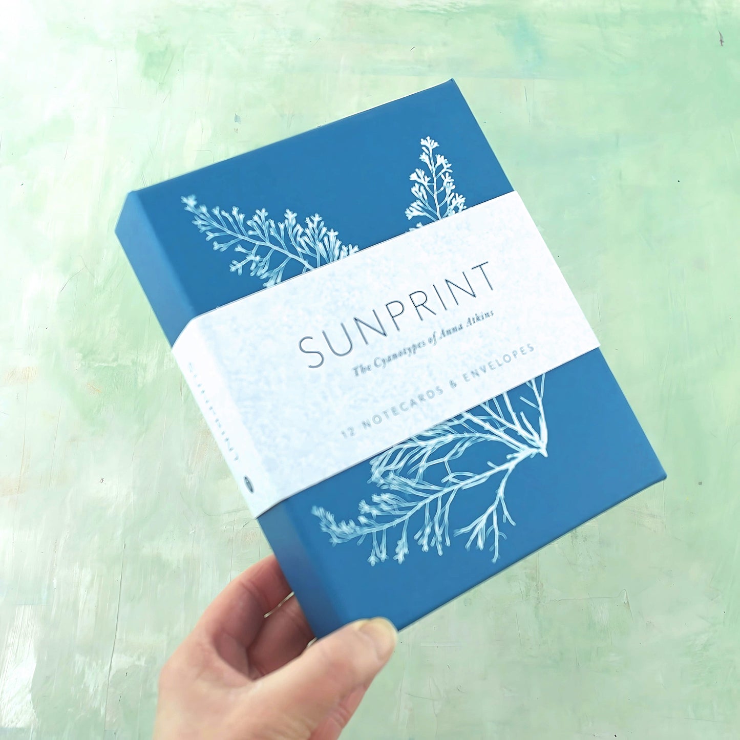 Sunprint cards and envelopes