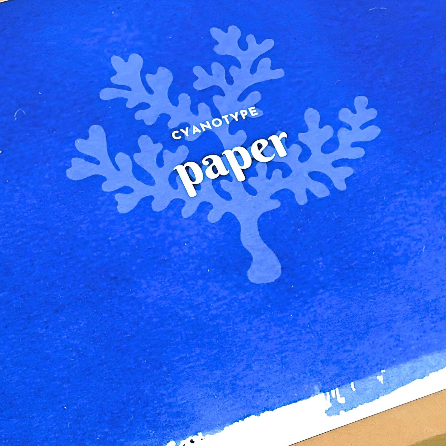 Cardboard box with blue paper and 'Cyanotype Paper' text on a light green background