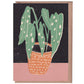 Card, Spotted Begonia
