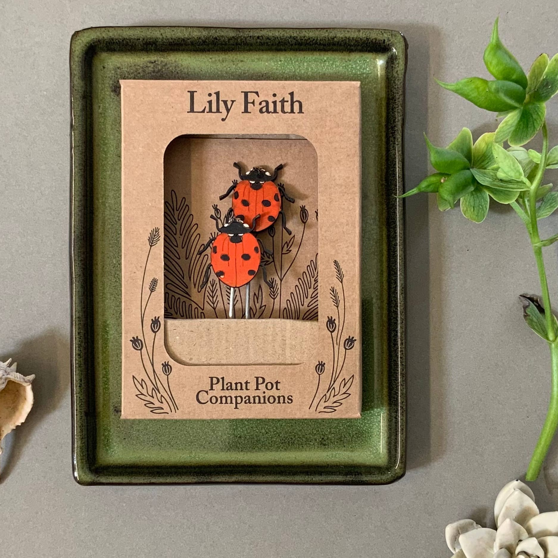 Lily Faith Ladybird Plant Pot Companions