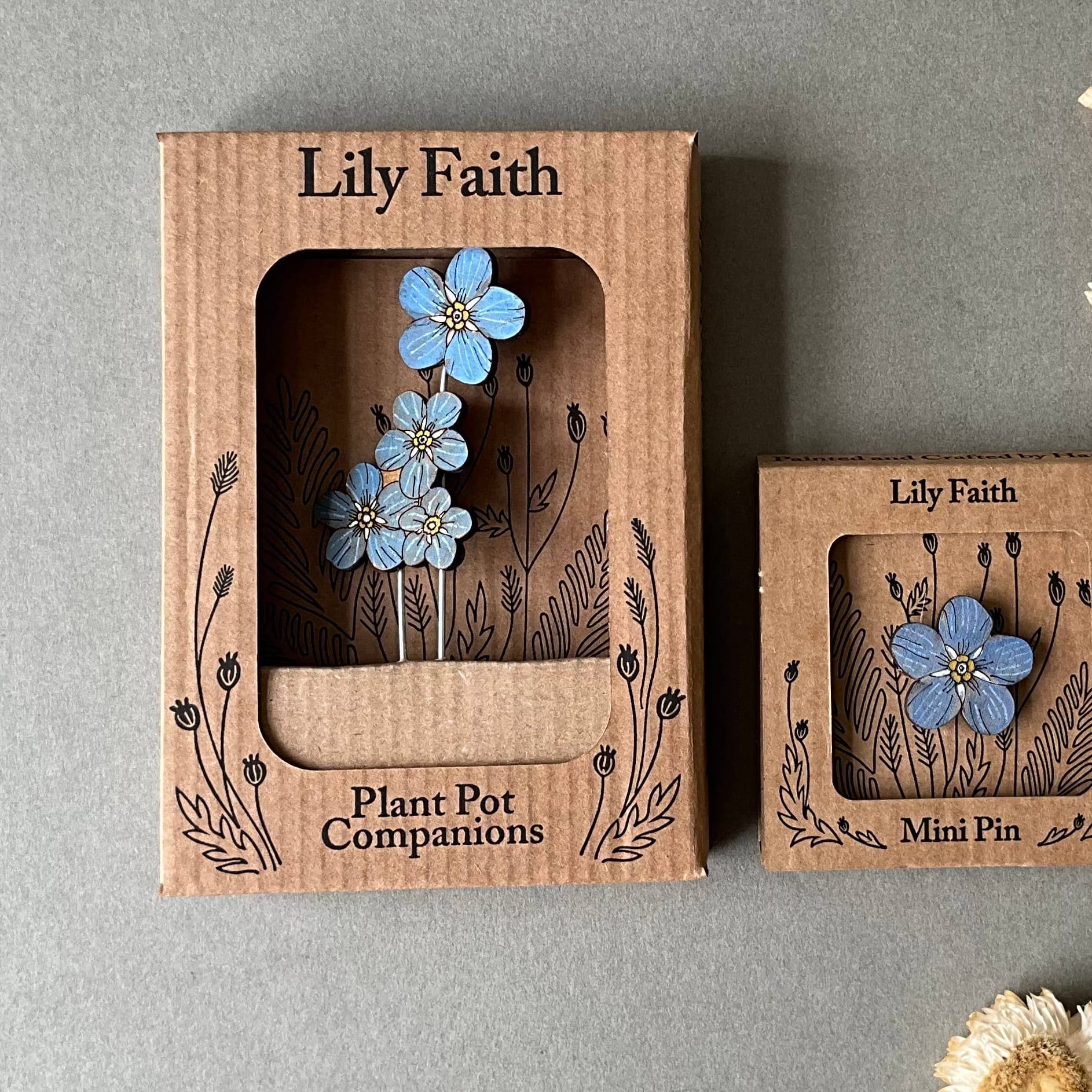 Lily Faith Forget Me Not Plant Pot Companions  