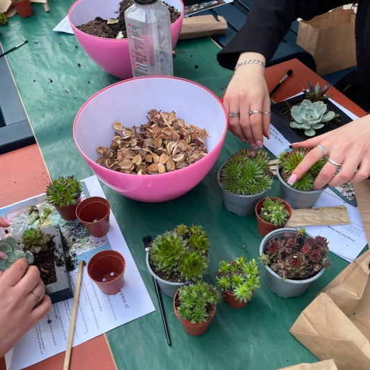 Workshop Living Art for Plant Lovers