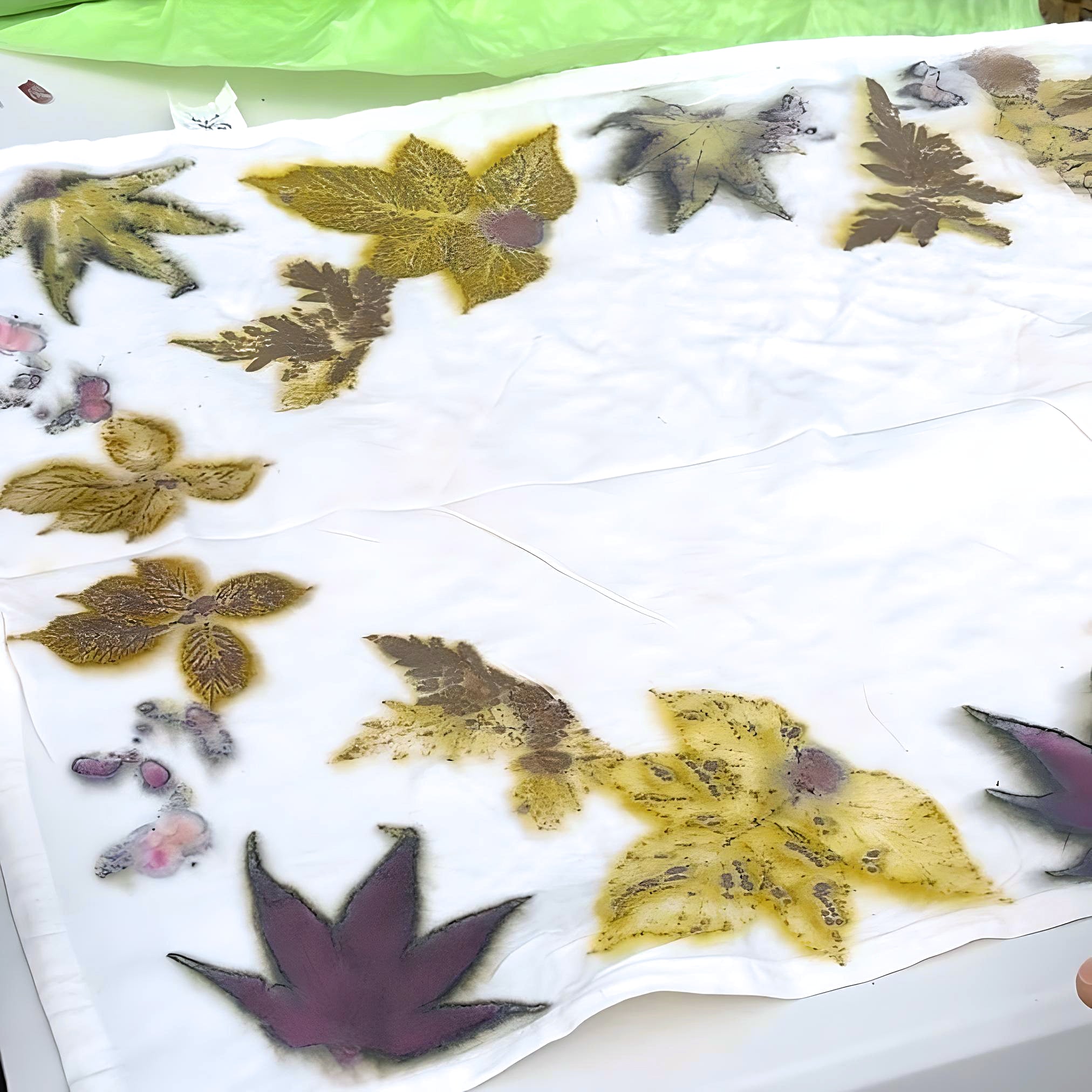 Workshop eco print fabric