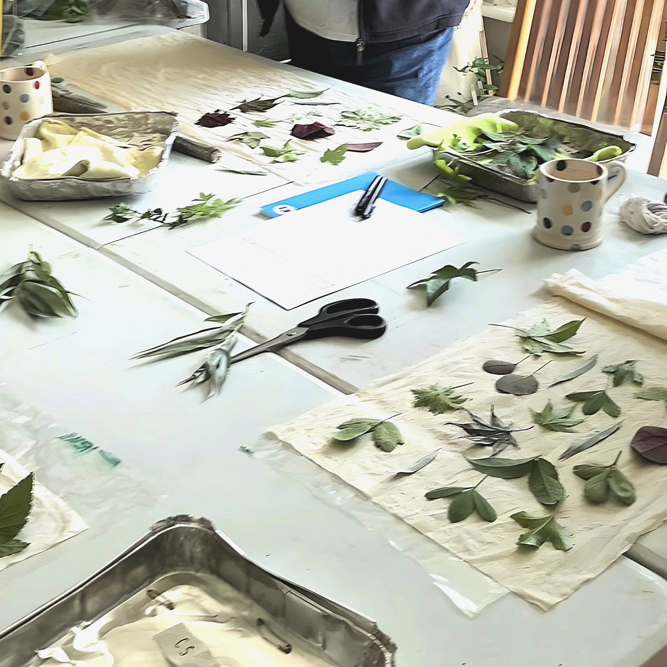 Workshop eco print fabric
