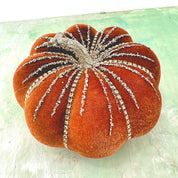 Heaven sends Orange and gold pumpkin