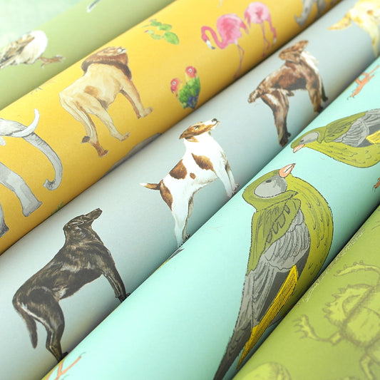 Pack of 5 mixed design 'animals & wildlife' gift wrap sheets with tags