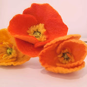 Workshop feltmaking poppy with water