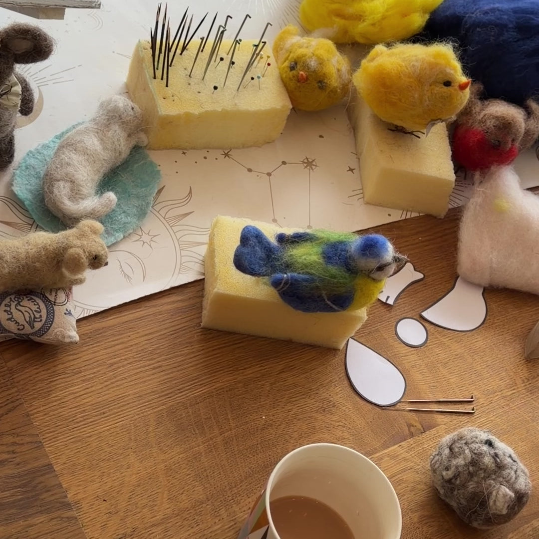 Needle Felting Workshop: Create a Blue Tit Bird
