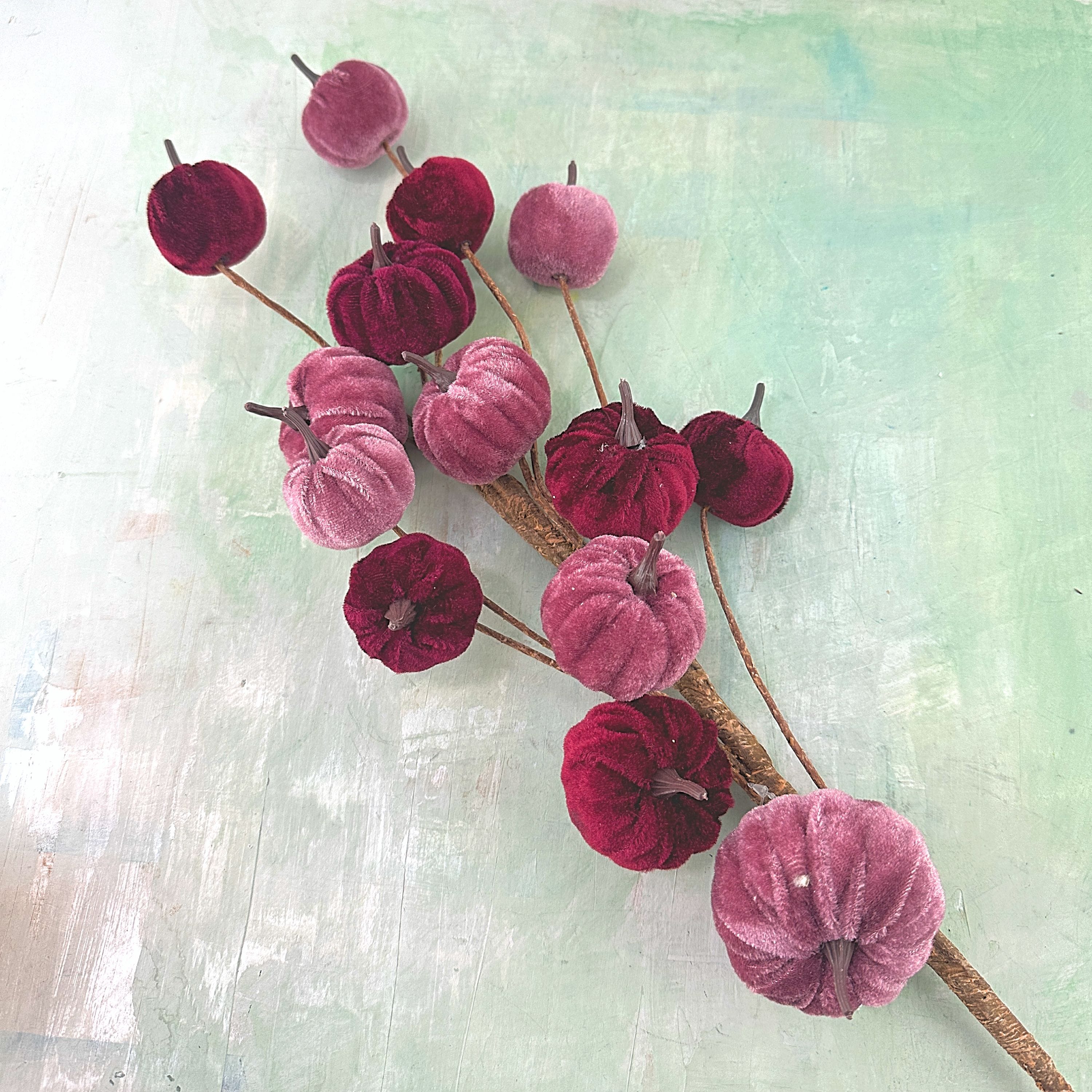 Heaven sends Purple velvet pumpkin stem