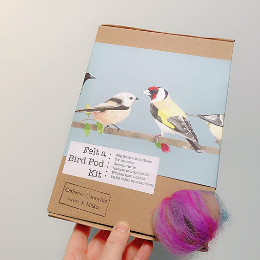 Creative felting kit bird pod